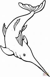 Dibujos Marins Colorare Peces Disegni Coloring Schwertfisch Marinos Tiburones Acuaticos Swordfish Pescados Pesci Estrellas Focas Coloriages sketch template