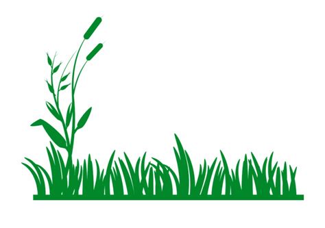 grass border png   grass border png png images