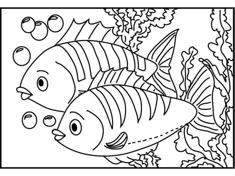 coloring book fish images background colorist