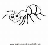 Ameise Insekten Tiere Malvorlagen Auszudrucken Dein Klicke Hier sketch template