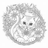 Gatti Chats Katzen Erwachsene Adulti Malbuch Coloriages Justcolor Katze Tiere Malvorlagen Gratuit sketch template