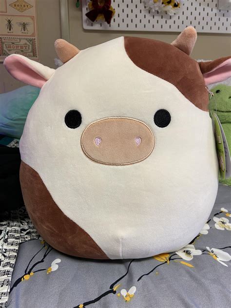today     trip squishmallow hunting