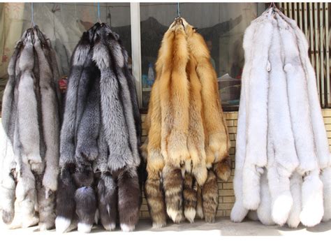 natural fox fur skin silver fox fur skins raw fur skins  fur