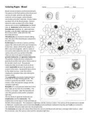 blood coloring pages coloring pages blood  period date blood