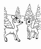 Deer Coloring Baby Pages Cute Outline Drawing Rudolph Reindeer Popular Library Clipart Getdrawings Coloringhome Codes Insertion sketch template