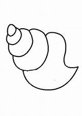 Shell Conch Draw Coloring Pages Drawing Library Clipart Seashell Kids sketch template