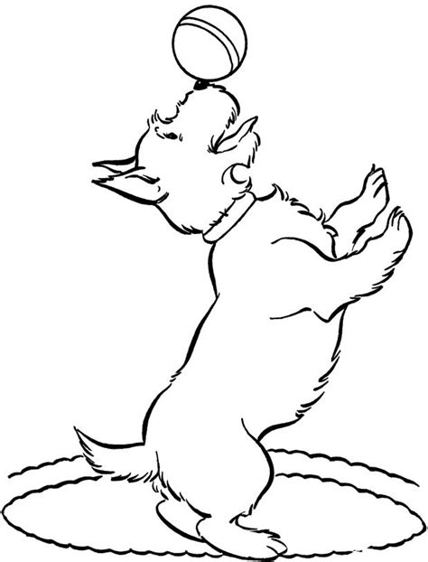 coloringkidsnet dog coloring page animal coloring pages puppy