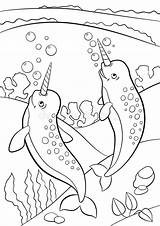 Narwhals Swim sketch template