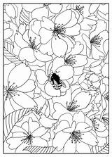 Coloring Flowers Flower Pages Printable Cherry Tree Adult Adults Color Kids Mizu Print Pattern Simple Book Fleurs Et Exclusive Vegetation sketch template