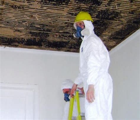 professional mold removal protects  health servpro  ne albuquerque