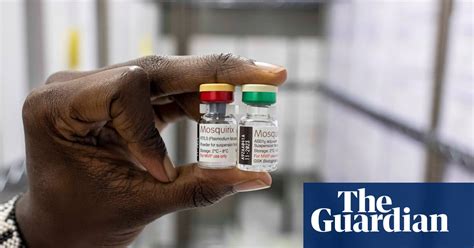 The World Finally Has A Malaria Vaccine Why Has It Taken So Long