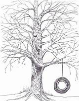 Swing Tree Drawing Sketch Line Trees Coloring Tire Colouring Clipart Pages Digi Stamps Draw Drawings Paintingvalley Google Sketches sketch template