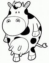 Cow Coloring Pages Printable Library Clipart Cartoon sketch template
