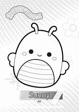 Squishmallows Sunny Squishmallow Bee Xcolorings Birthday sketch template