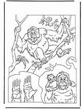 Kleurplaat Apen Oetan Kleurplaten Affen Utan Outan Ausmalbilder Malvorlage Coloriage Orangutan Monkeys Ausmalbild Stap Oerang Dierentuin Jetztmalen Kleurplaatjes Stimmen Tiere sketch template