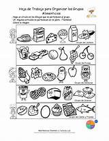 Colorear Grupos Alimenticios Hoja Clasificar Imprimible Descargue Derecha Casilla sketch template