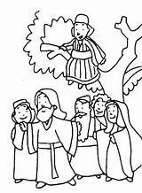 Zaqueo Zacchaeus Dibujos Arbol Zaqueu Testamento Actividades Jesús Sopa Cristianas sketch template
