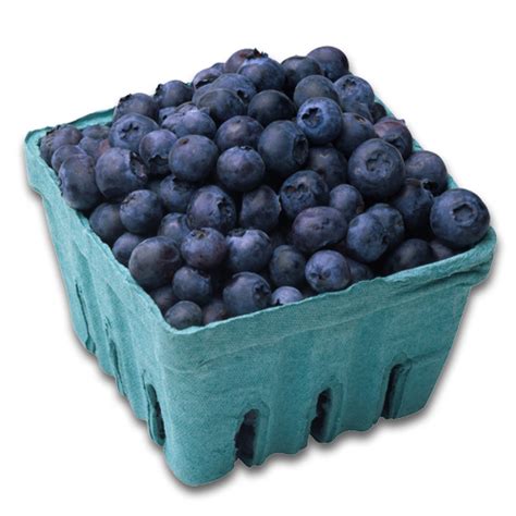 blueberry vapemenet