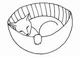 Katze Schlafende Malvorlage Große sketch template