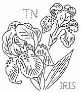 Iris Tennessee Embroidery State Tattoo Flickr Flower Drawing Drawings Patterns Outline Tn Flowers Towel Coloring Designs Purple Line Hand Quilt sketch template