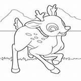 Deer Coloring Surfnetkids Pages sketch template