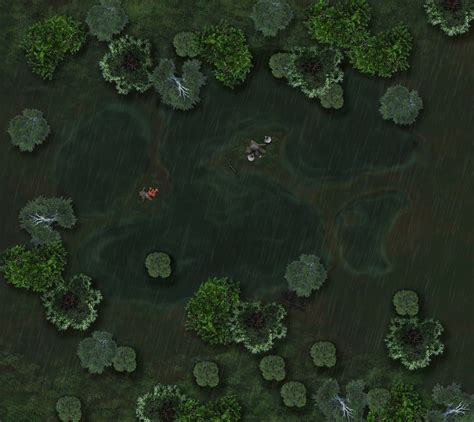 swamp map dd maping resources