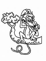 Apen Aap Singe Malvorlage Affen Ausmalbilder Coloriages Colorare Kids Banaan Mewarnai Dieren Malvorlagen Monyet Animasi Singes Scimmie Animaties Bewegende Affe sketch template