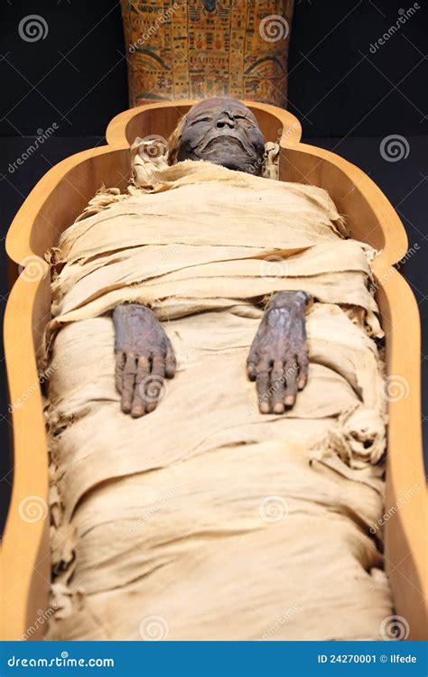 Egyptian Mummy Stock Image 24270001