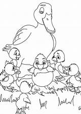 Duckling Ugly Feo Patito Cuento Colorir Patinho Cuentos Patinhos Feio Ducklings Dibujo Tulamama Ducks Fichas Leer Desenhos Patos Pata Patitos sketch template