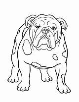 Bulldog Coloring Pages English Dog Printable Drawing Clipart Old Color Pdf Bull Bulldogs Coloringcafe Sheets Puppy Dogs Family Sheepdog Patterns sketch template