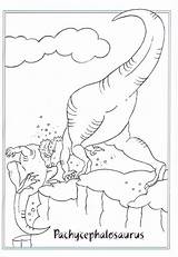 Dinosauri Kleurplaten Dinosaurussen Dinosaurus Dieren Dinosaurier Pianetabambini Pachycephalosaurus Dinosaure Coloriages Stampare Dinosauro Animaatjes Dinosaurs Gigantosaurus Stampa sketch template