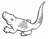 Crocodile Coloring Pages Alligator Small Kids Color Baby Crocodiles Simple Drawings Clipart Mardi Gras Sheets Drawing Clip Animals Piranha Getdrawings sketch template