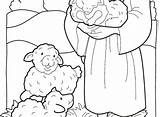 Coloring Sheep Shepherd Pages Lost Shepherds Getdrawings Parable Angels Getcolorings Little Printable Colorings Color Good sketch template
