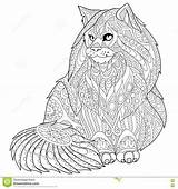 Coon Maine Coloring Cat Zentangle Stylized Adult Antistress Drawings Designlooter Drawing 1300 56kb sketch template