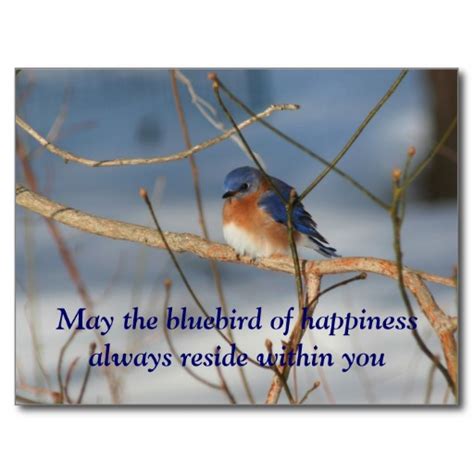 blue bird quotes quotesgram