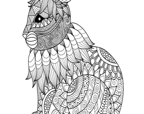 rabbit coloring pages  adults ferrisquinlanjamal