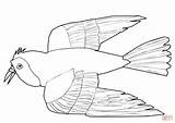 Bird Red Coloring Do Pages Printable Albatross Color Drawing Print Sheet Getcolorings Getdrawings sketch template