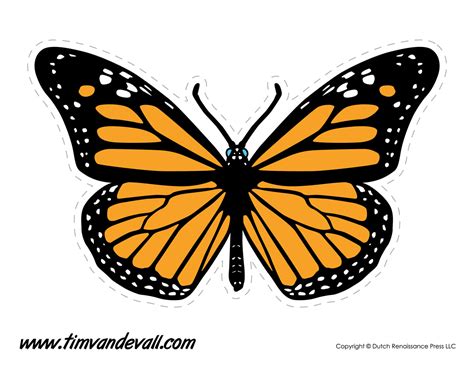 butterfly drawing template  getdrawings