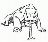 Komodo Dragon Coloring Pages Drawing Tongue Printable Clipart Color Print Getdrawings Library Getcolorings Clip Popular Coloringhome Related sketch template