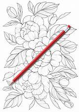 Coloring Botanicum Flowers sketch template