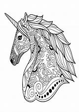 Einhorn Malvorlagen Malvorlage Erwachsene Mandalas Kostenlose Tiere Wald Dinosaurier Pferde Malen Malvorlagenkostenlos Pferd sketch template