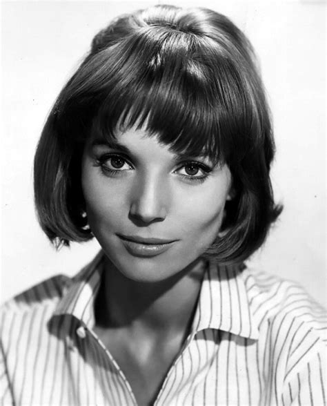 Elsa Martinelli 1961 Italian Actress Italian Beauty Hollywood Icons