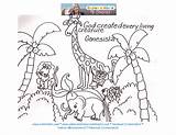 Creation Coloring God Story Pages Bible Animals Created Printable Made Children Kids Earth Preschool Coloringhome Clipart Cullen Board Beginning Comments sketch template
