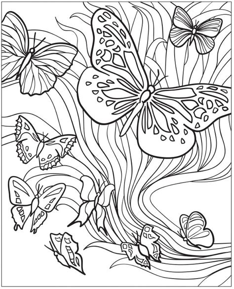 drawing butterflies  getdrawings