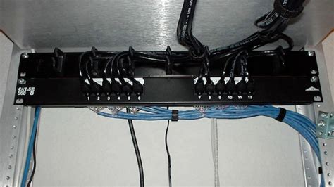 cat  wiring diagram wall socket