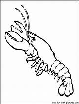 Lobster Coloring Kids Pages Clipart Popular Library Fun Coloringhome sketch template