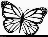 Butterfly Coloring Monarch Printable Pages Outline Easy Drawing Kids Template Morpho Choose Board Sketch sketch template