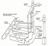 Staircase Stair Handrail Railing Timber Terminology Staircases sketch template