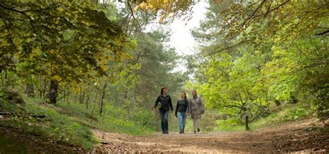 utrechtse heuvelrug ns wandeling dagje uit ns wandelen dagje uit utrecht