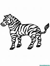 Mewarnai Bestcoloringpagesforkids Zebras sketch template